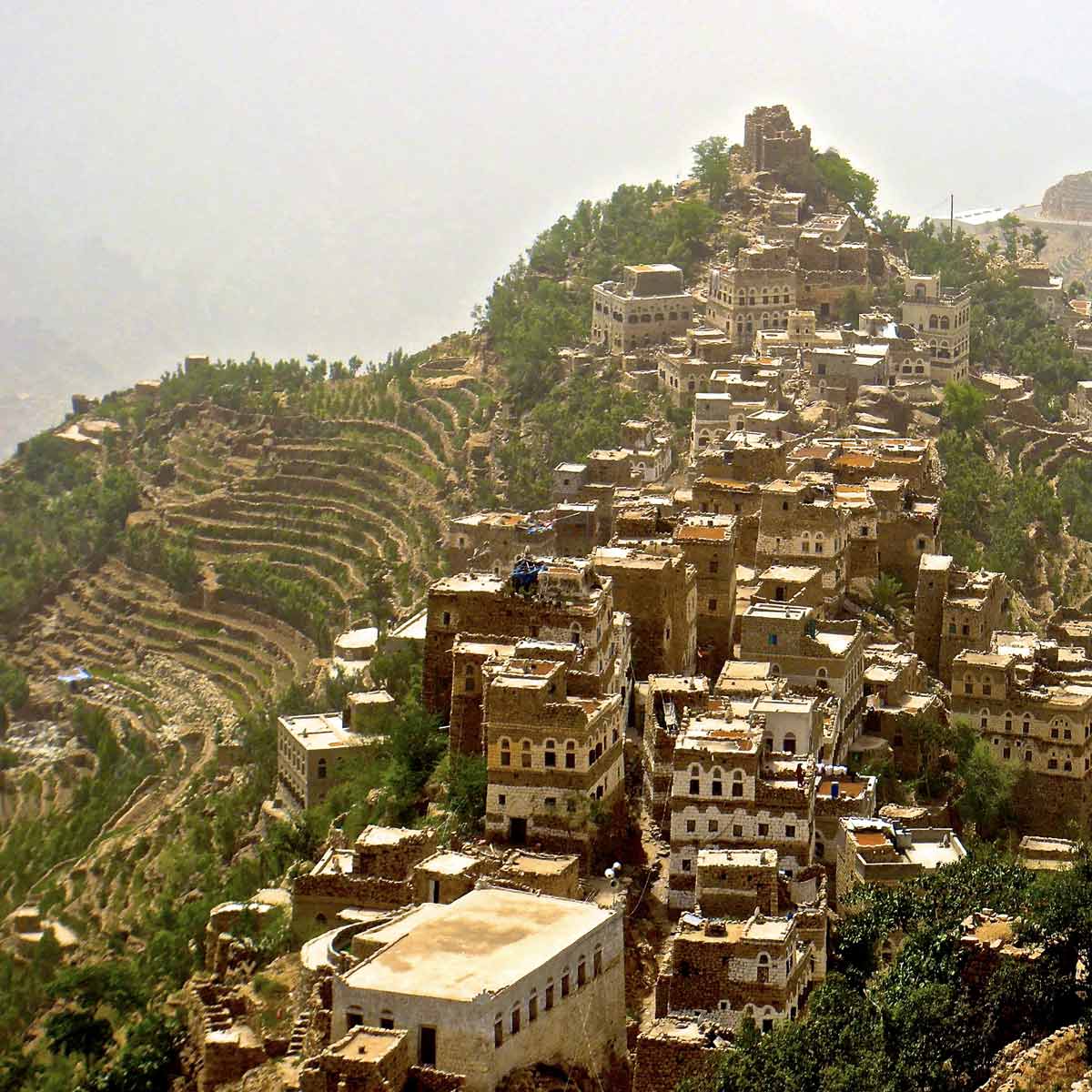 Haraz: A Journey into the Heart of Yemeni Coffee