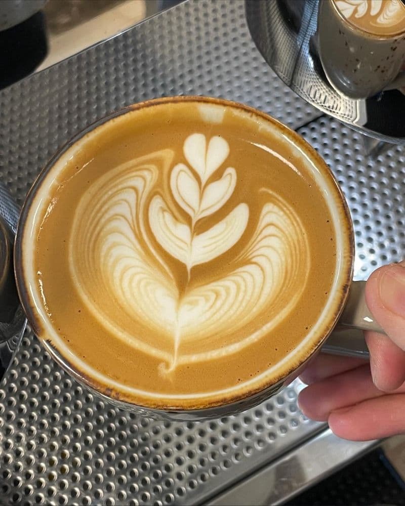 Revealing the Benefits of Drinking Coffee Before a Nap!