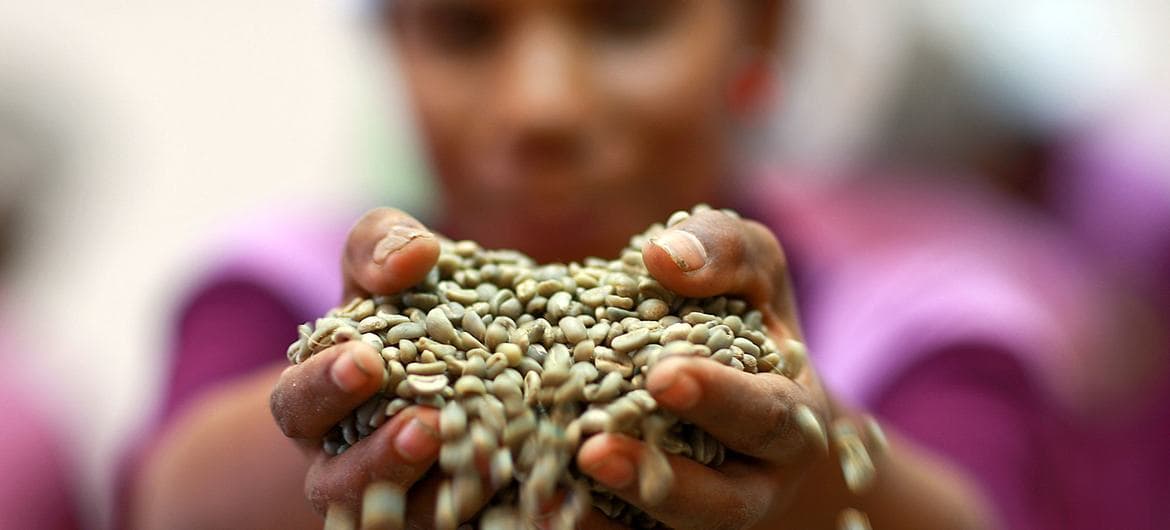 Coffee, Tea, and Cocoa Costs Drive Global Food Import Bill to Exceed $2 Trillion in 2024