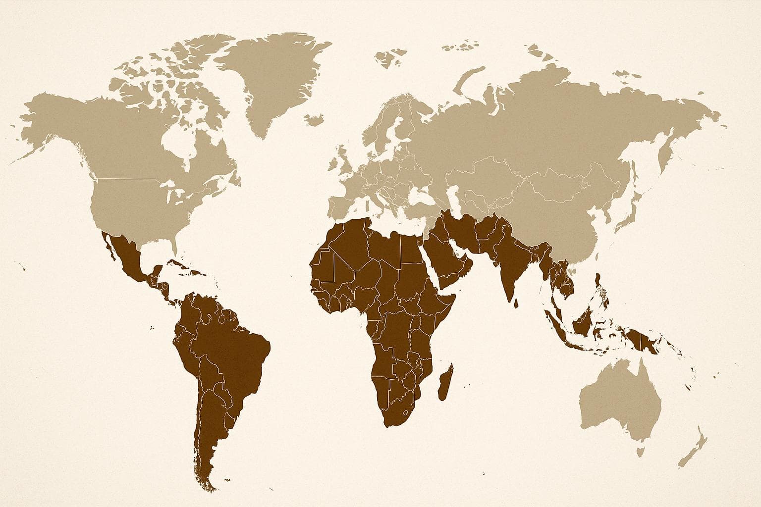 International Coffee Organization: Sharp Decline in Global Coffee Prices and Rise in Robusta Exports