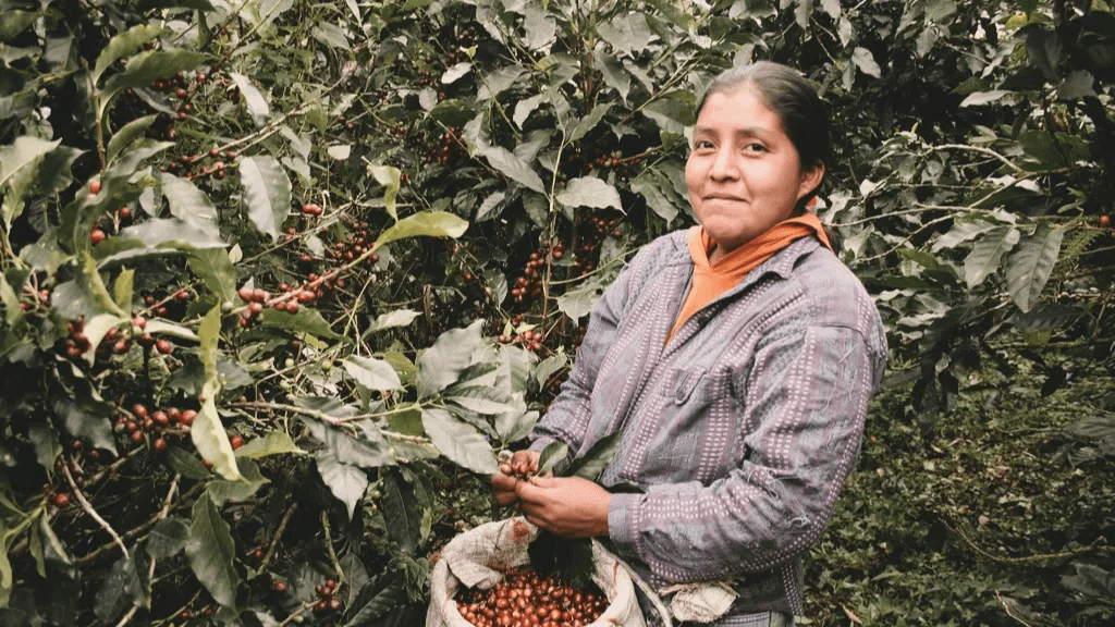 Dignity Before Flavor: Why the First Metric in Coffee Isn’t in the Cup