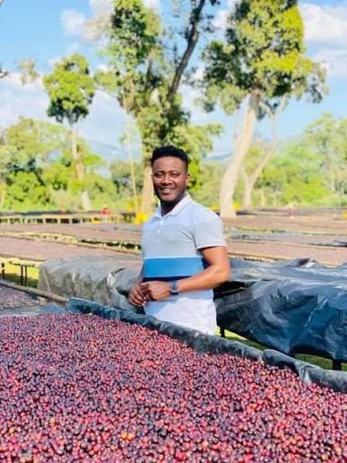 Ethiopian Coffee Sets New World Record at Echoes of the Peak Auction