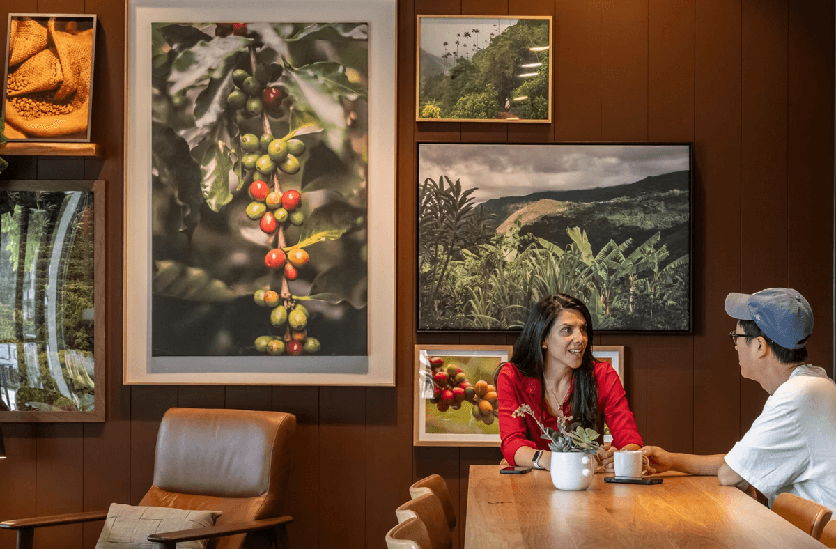 Starbucks Moves Ahead with Major U.S. Coffeehouse Revamp