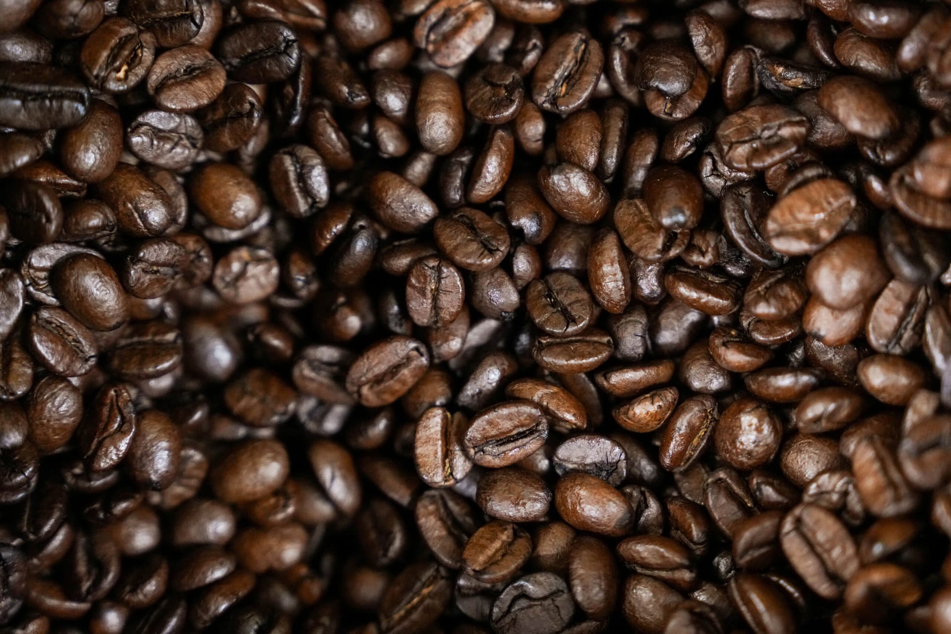 Global Coffee Prices Fall as U.S.–Brazil Trade Talks Raise Hopes for Tariff Relief