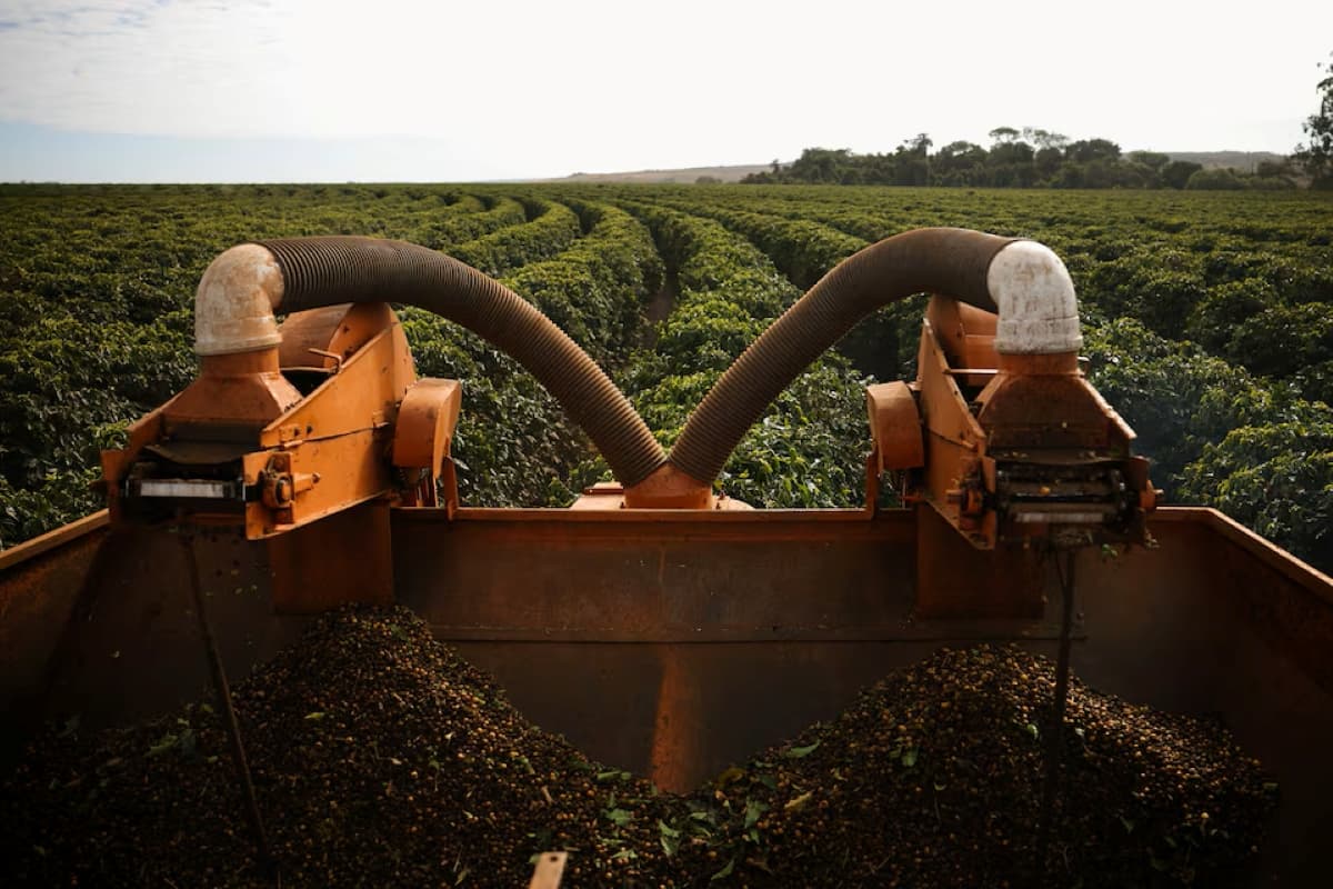 EU’s New Deforestation Law Proposal Sparks Frustration Among Brazilian Exporters and Raises Coffee Market Concerns