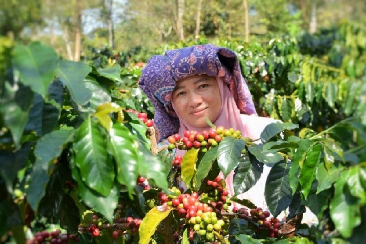 Indonesia Expands Coffee Exports with New Shipment to Saudi Arabia