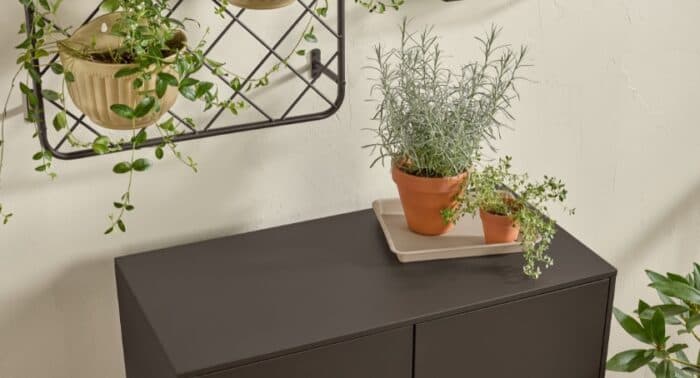 Krylon Names “Matte Coffee Bean” the 2026 Color of the Year — A Return to Warmth and Nature