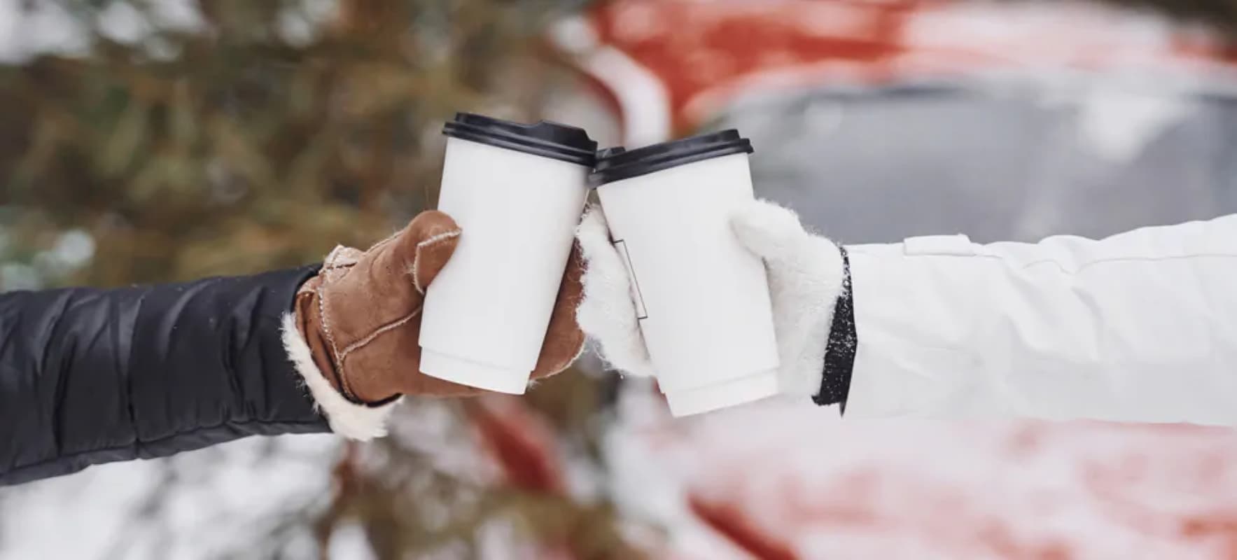 Swedes’ Passion for Coffee Tops the List of Amazon Deforestation Drivers