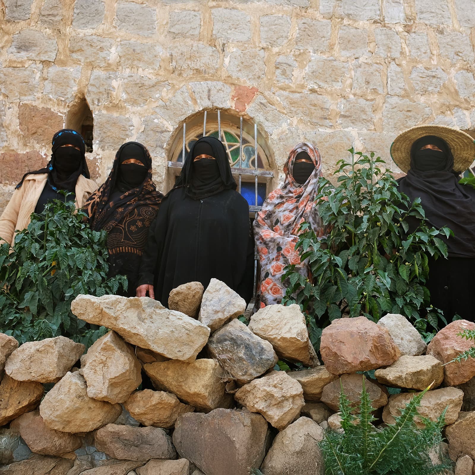 Living Legacy: Yemen’s Coffee Farmers Shine in Best of Yemen 2025