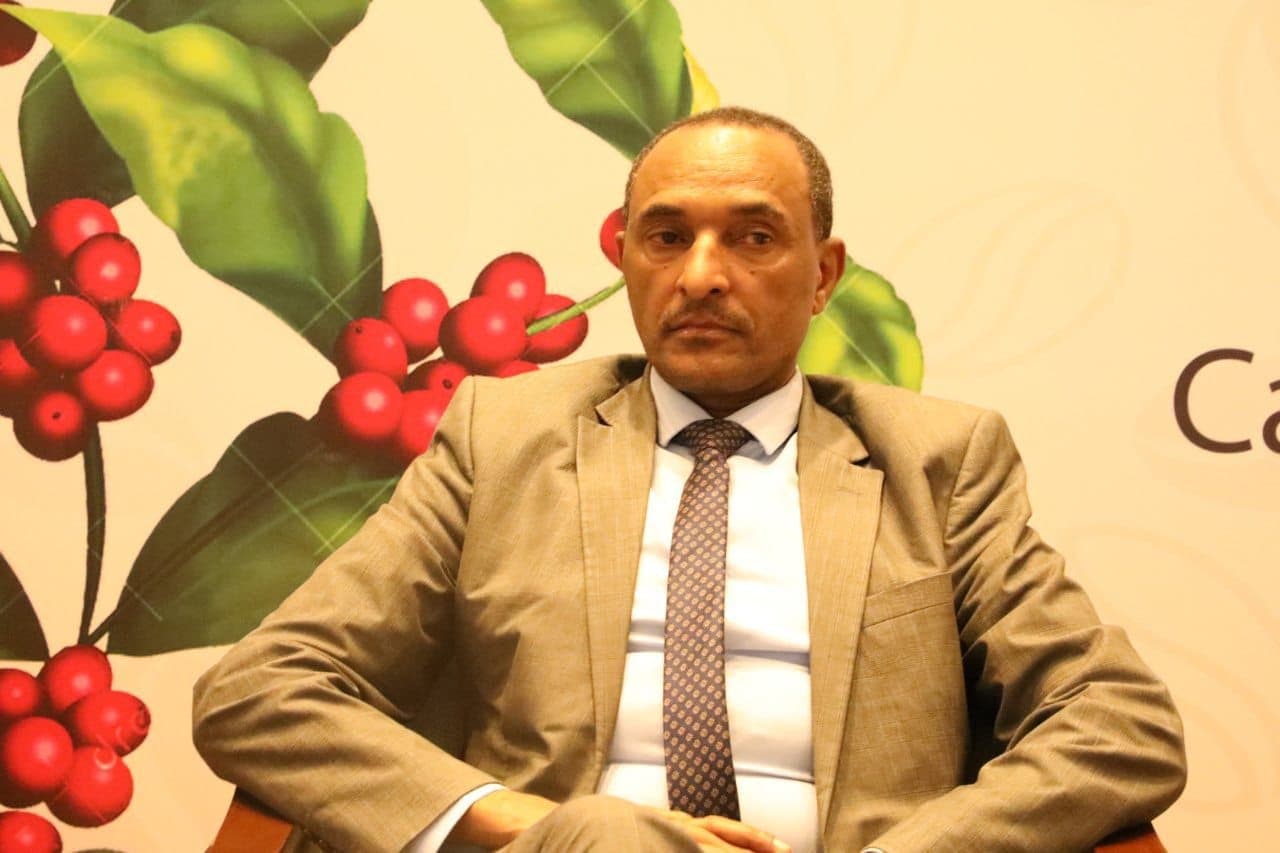 Ethiopia Earns $762.7 Million from Coffee Exports in Q1 FY 2025/26