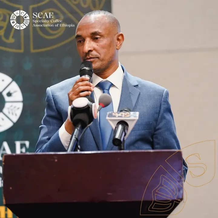Ethiopia launches Specialty Coffee Association (SCAE) to elevate global profile