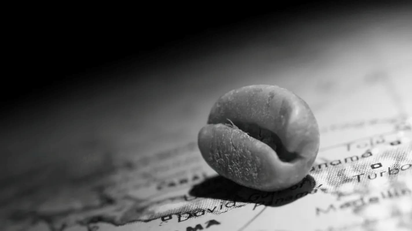 Panama Seeks Global Trademark for “Panama Geisha” as Record Auction Prices Spark New Push for Protection