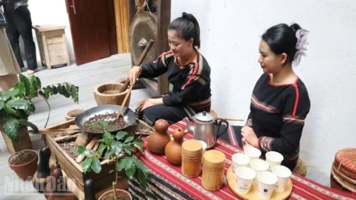 Vietnam: The Journey of Coffee Cultivation and Processing Knowledge Towards Global Recognition