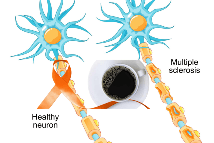 Meta-Analysis Suggests Coffee Consumption Significantly Lowers Risk of Multiple Sclerosis